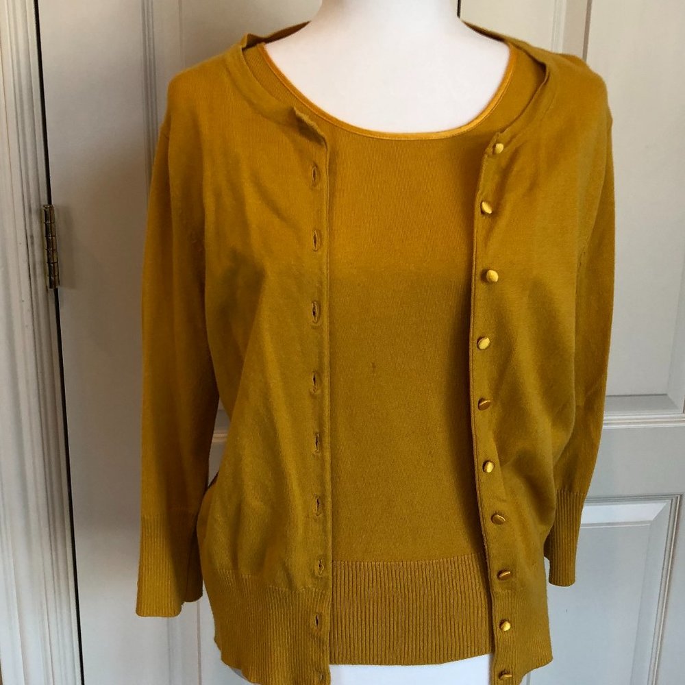 Audrey & Grace Gold Sweater Set